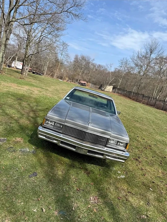 1977 Chevrolet Caprice - Image 8 of 16