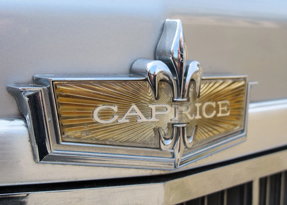 1977 Chevrolet Caprice - Image 12 of 31