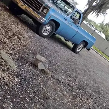 1977 Chevrolet Classic