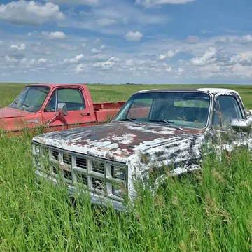 1977 Chevrolet Classic