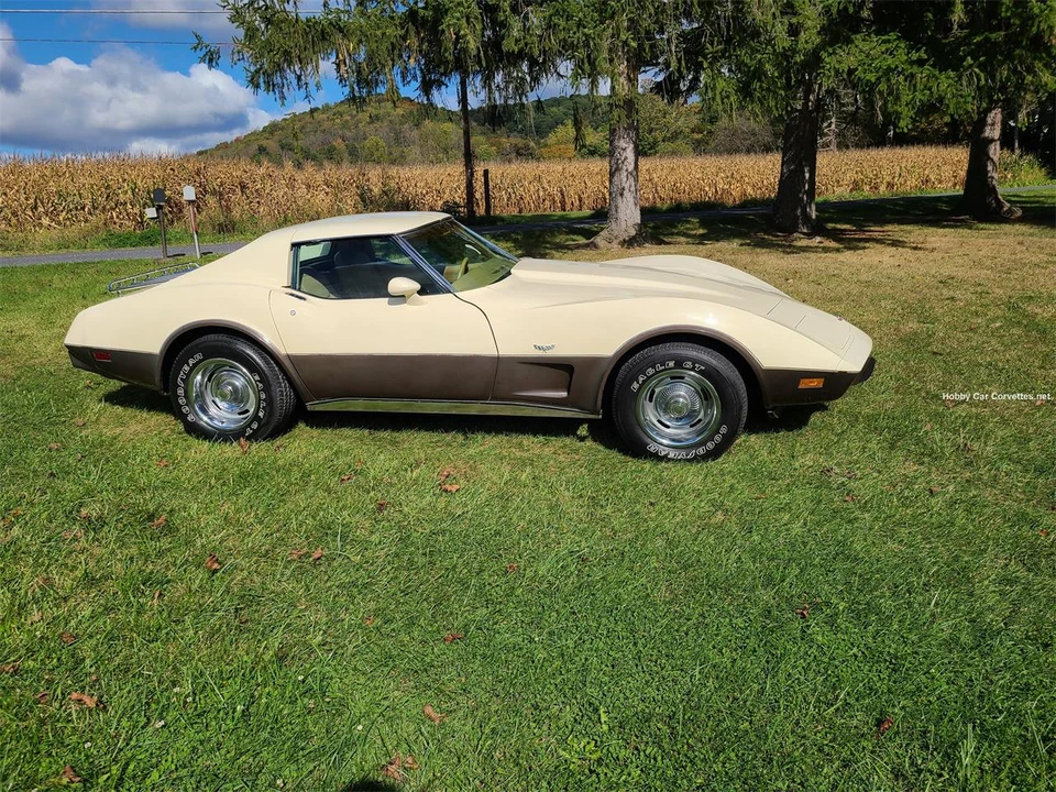1977 Chevrolet Corvette C3 - Image 5 of 31