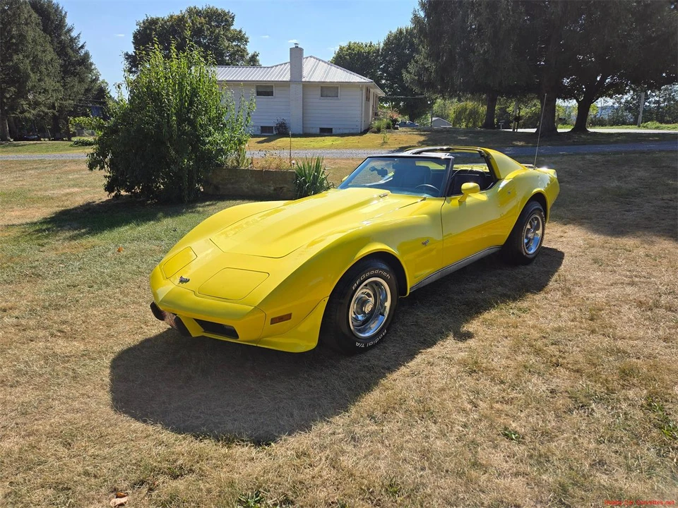 1977 Chevrolet Corvette C3 - Image 7 of 31