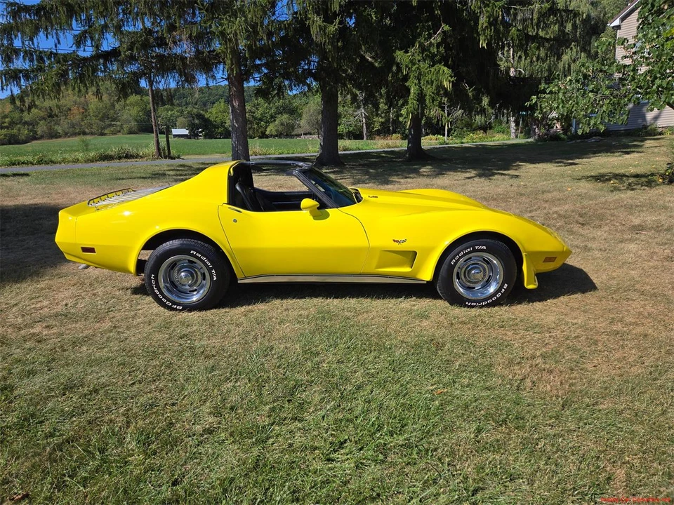 1977 Chevrolet Corvette C3 - Image 11 of 31