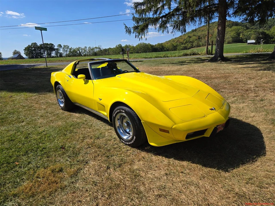 1977 Chevrolet Corvette C3 - Image 13 of 31