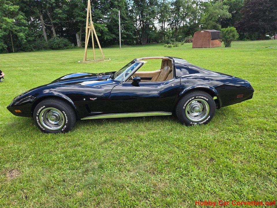 1977 Chevrolet Corvette C3 - Image 6 of 31