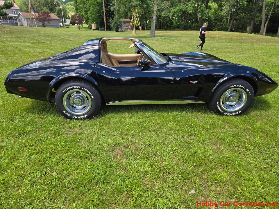 1977 Chevrolet Corvette C3 - Image 10 of 31