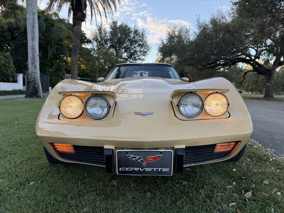 1977 Chevrolet Corvette C3 - Image 15 of 21