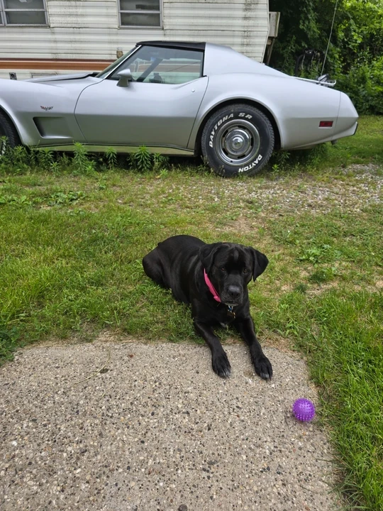1977 Chevrolet Corvette C3 - Image 21 of 21