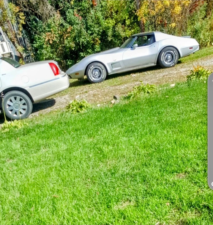 1977 Chevrolet Corvette C3 - Image 19 of 21