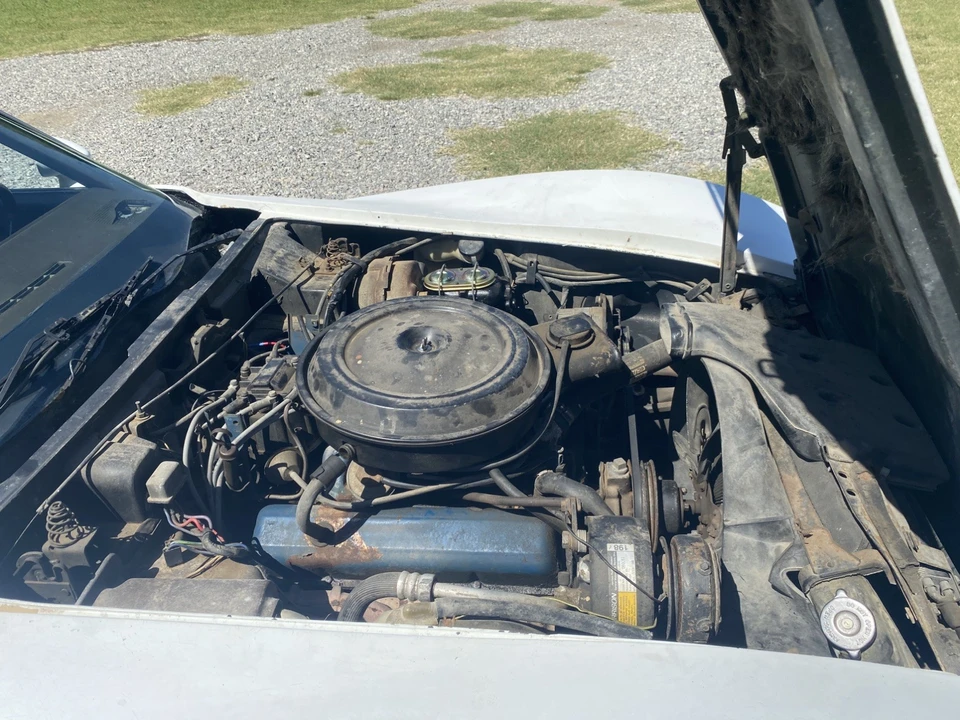 1977 Chevrolet Corvette C3 - Image 24 of 26