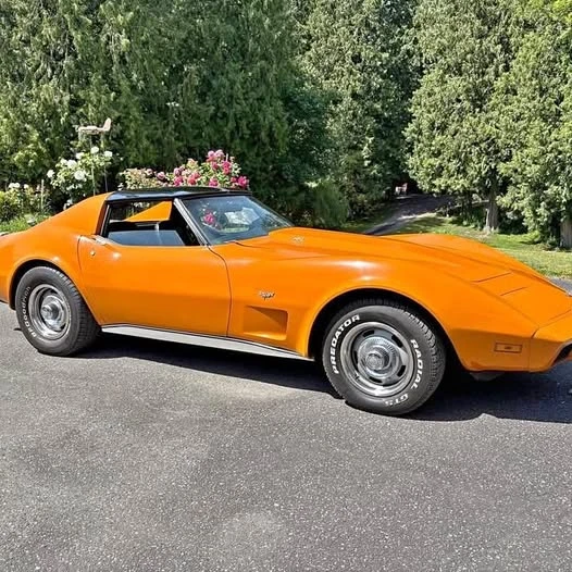 1977 Chevrolet Corvette C3 - Image 1 of 1