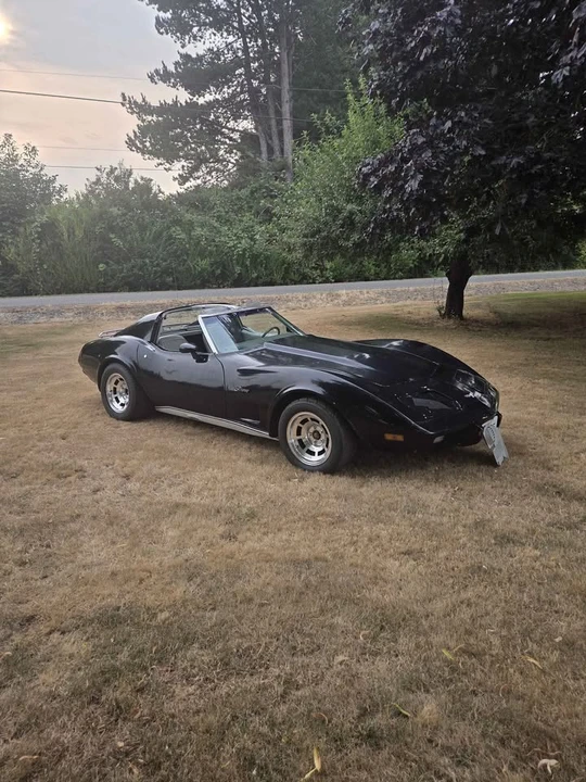 1977 Chevrolet Corvette C3 - Image 2 of 10