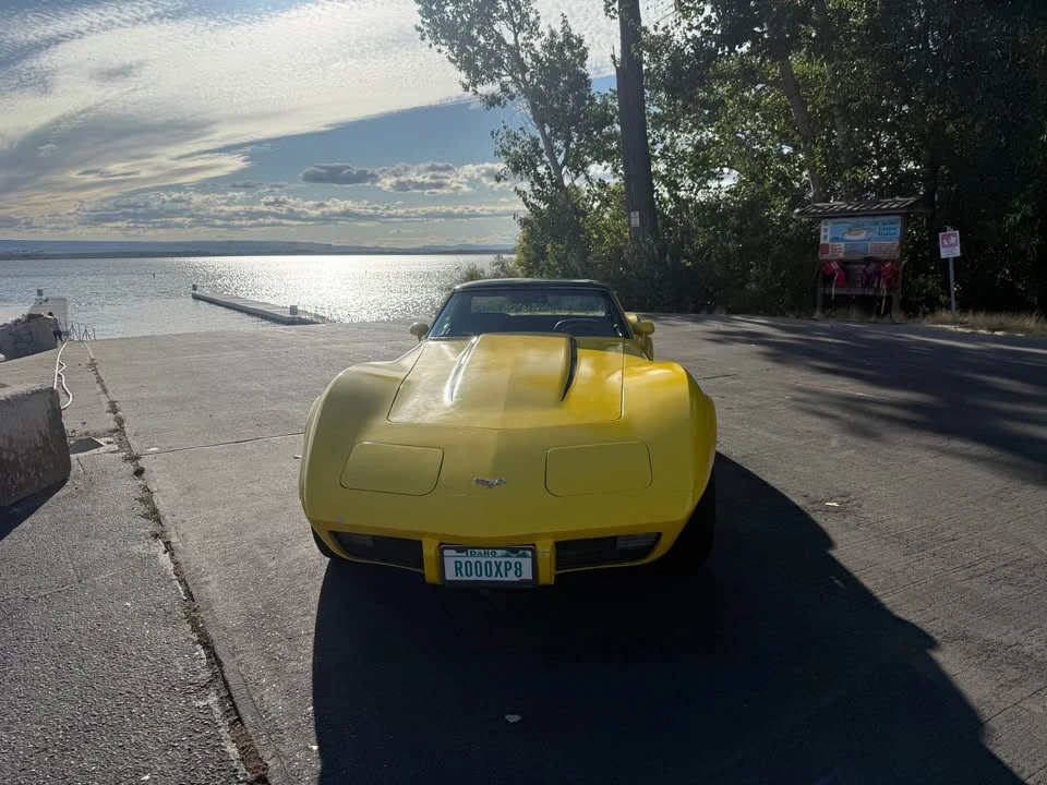 1977 Chevrolet Corvette C3 - Image 8 of 18
