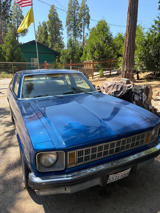 1977 Chevrolet Nova 4th Gen - Image 5 of 15