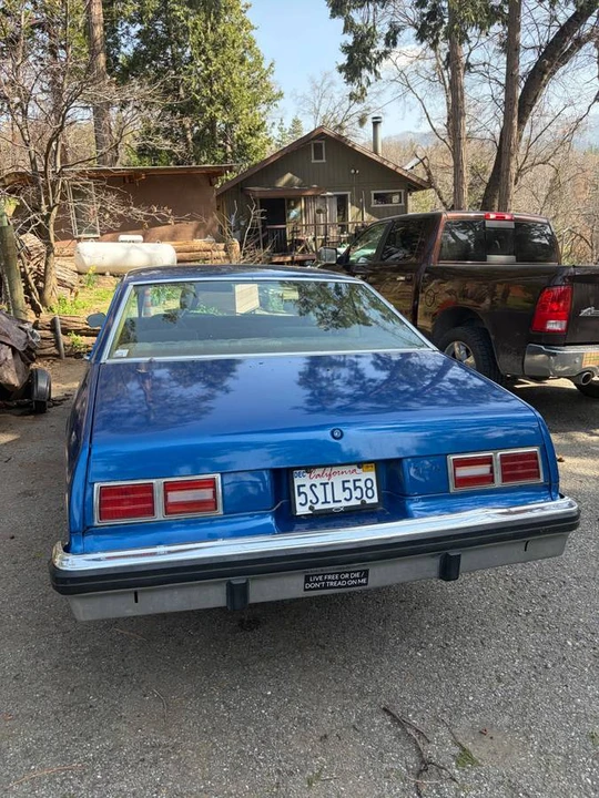 1977 Chevrolet Nova 4th Gen - Image 6 of 15