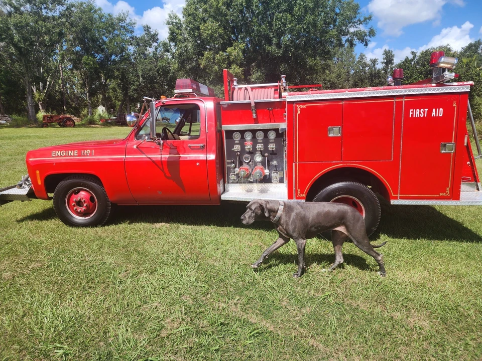 1977 Chevrolet C/K 3rd Gen - Image 9 of 17