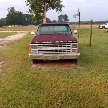 1977 Chevrolet C10