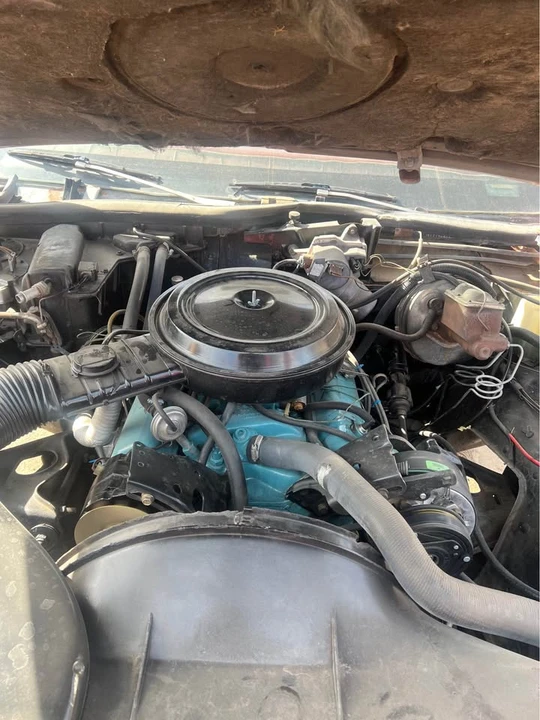 1977 Chevrolet Caprice - Image 10 of 19
