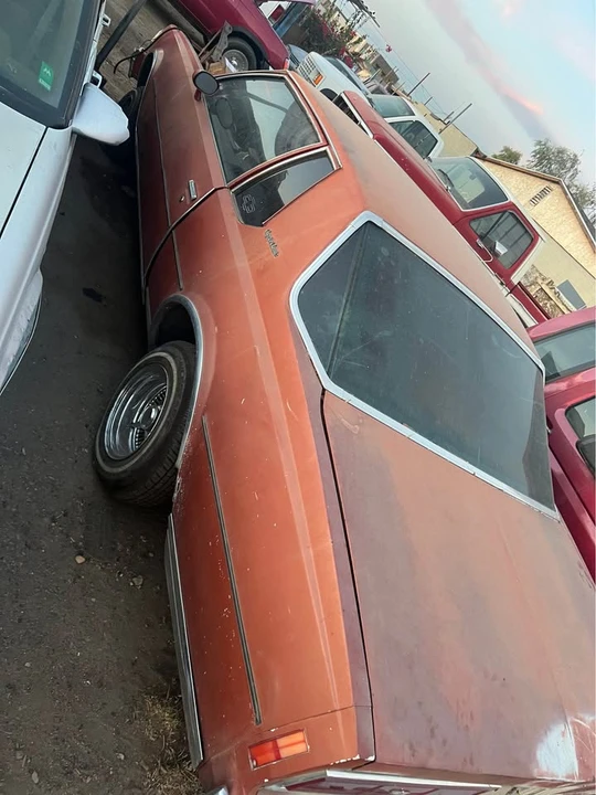 1977 Chevrolet Caprice - Image 18 of 19