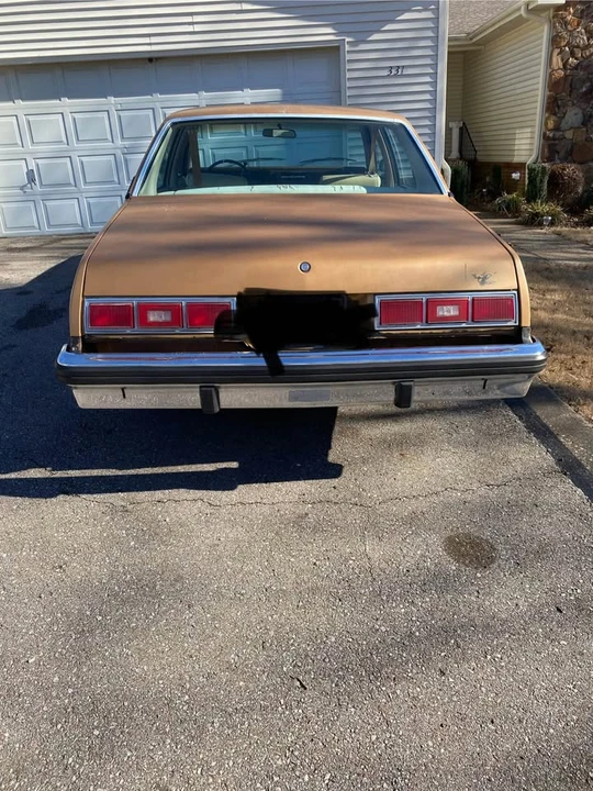 1977 Chevrolet Nova 4th Gen - Image 9 of 9