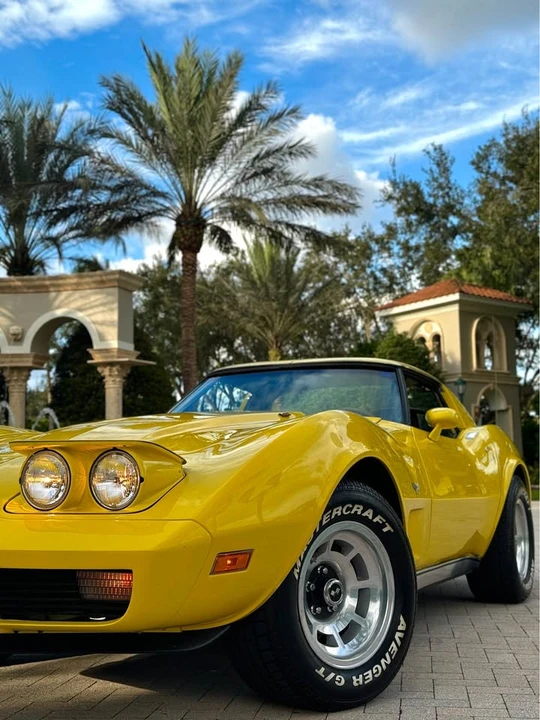 1977 Chevrolet Corvette C3 - Image 8 of 20