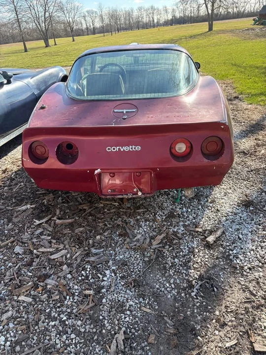 1977 Chevrolet Corvette C3 - Image 9 of 14