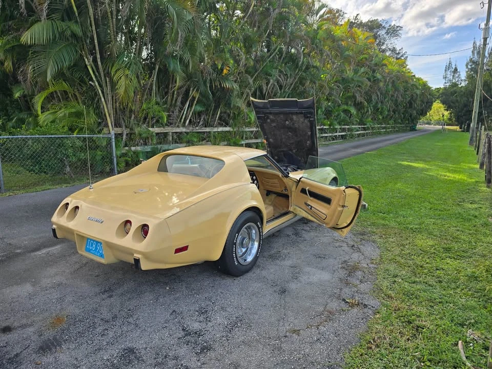1977 Chevrolet Corvette C3 - Image 14 of 20