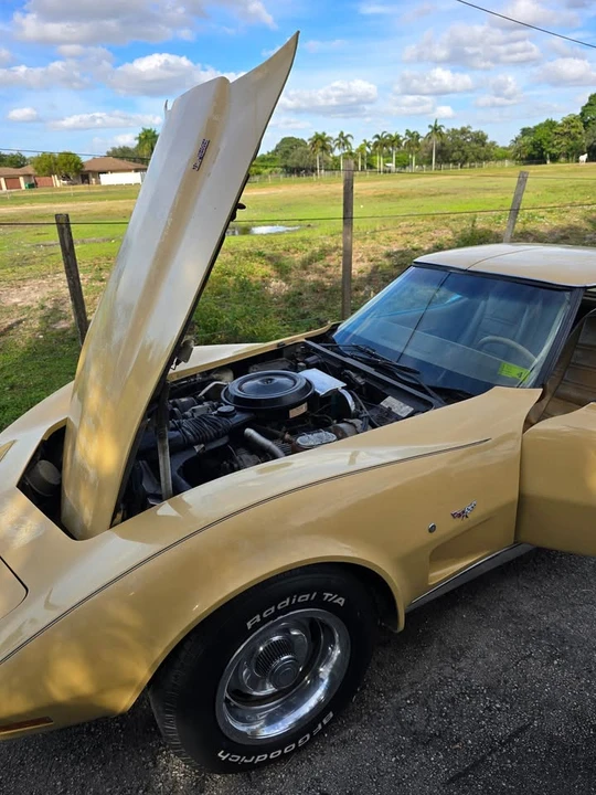 1977 Chevrolet Corvette C3 - Image 10 of 20