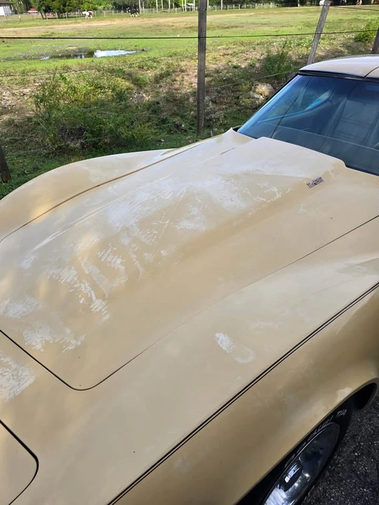 1977 Chevrolet Corvette C3 - Image 8 of 20