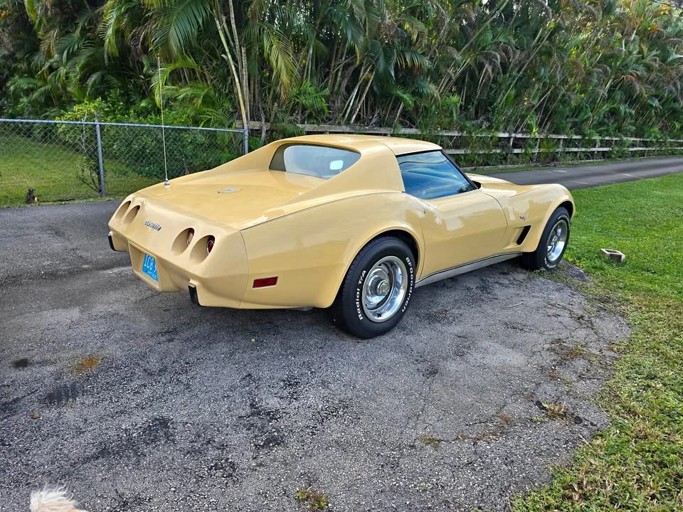 1977 Chevrolet Corvette C3 - Image 1 of 20