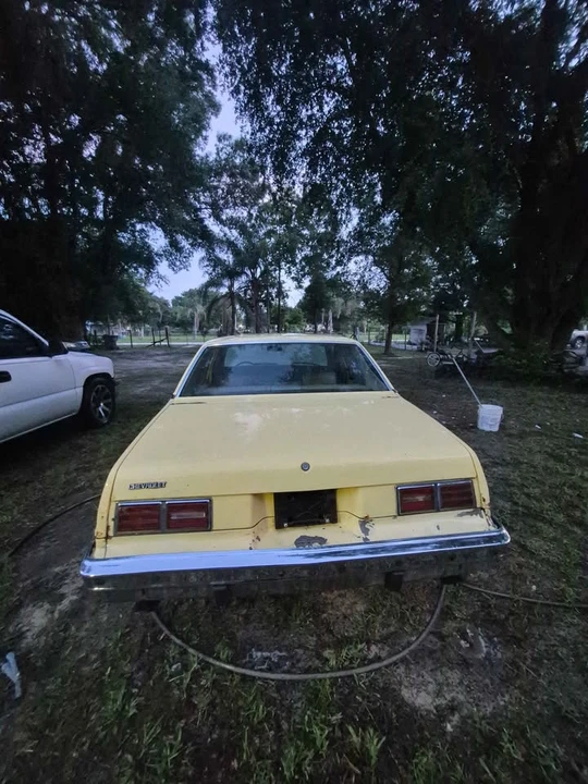 1977 Chevrolet Nova 4th Gen - Image 3 of 10