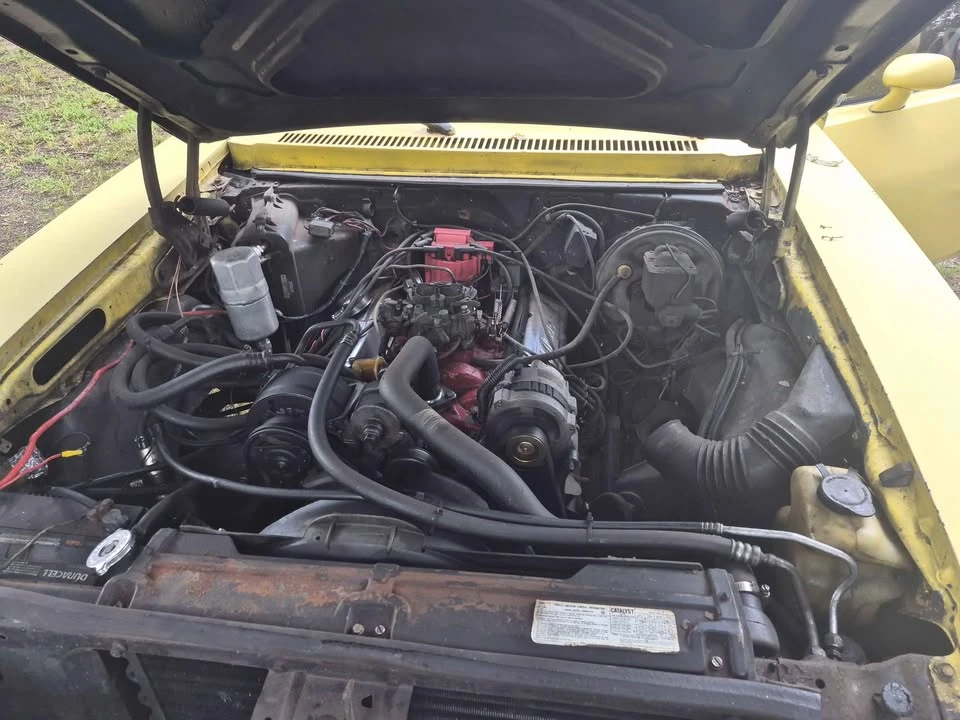 1977 Chevrolet Nova 4th Gen - Image 10 of 10