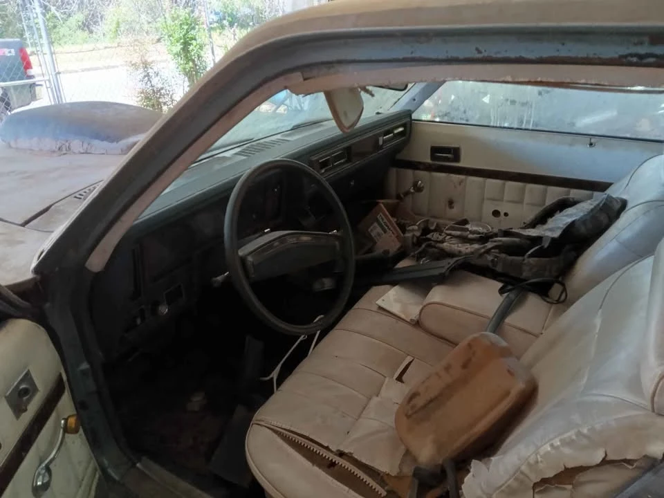 1977 Chevrolet Nova 4th Gen - Image 4 of 4