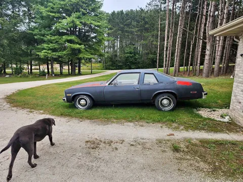 1977 Chevrolet Nova Concours