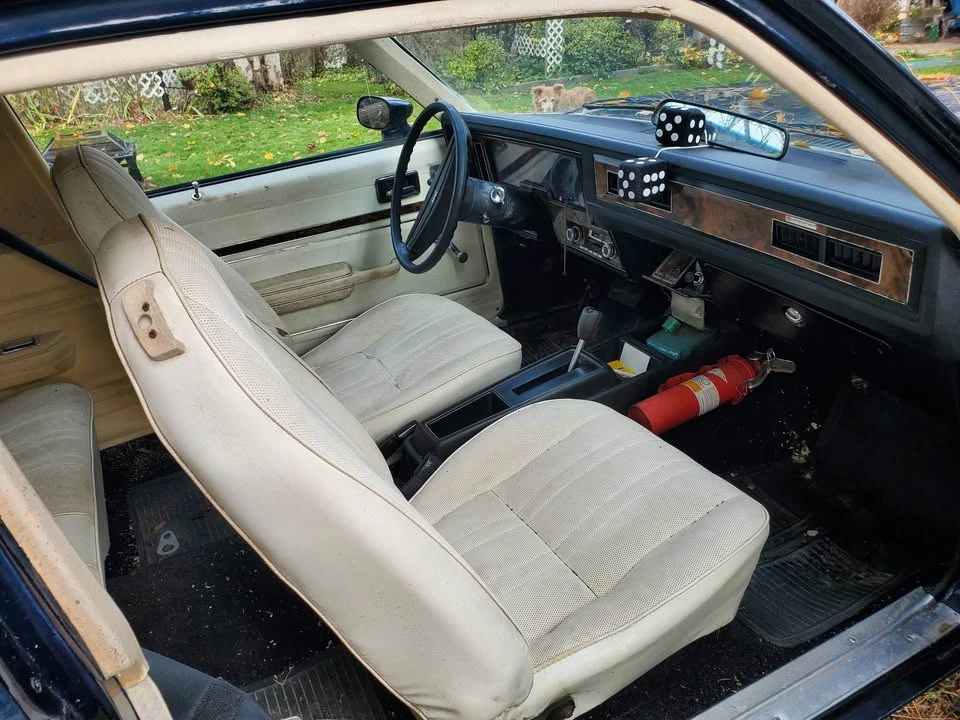 1977 Chevrolet Nova 4th Gen - Image 4 of 7