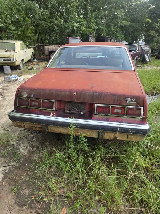 1977 Chevrolet Nova 4th Gen - Image 2 of 9