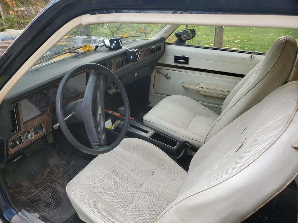 1977 Chevrolet Nova 4th Gen - Image 3 of 7