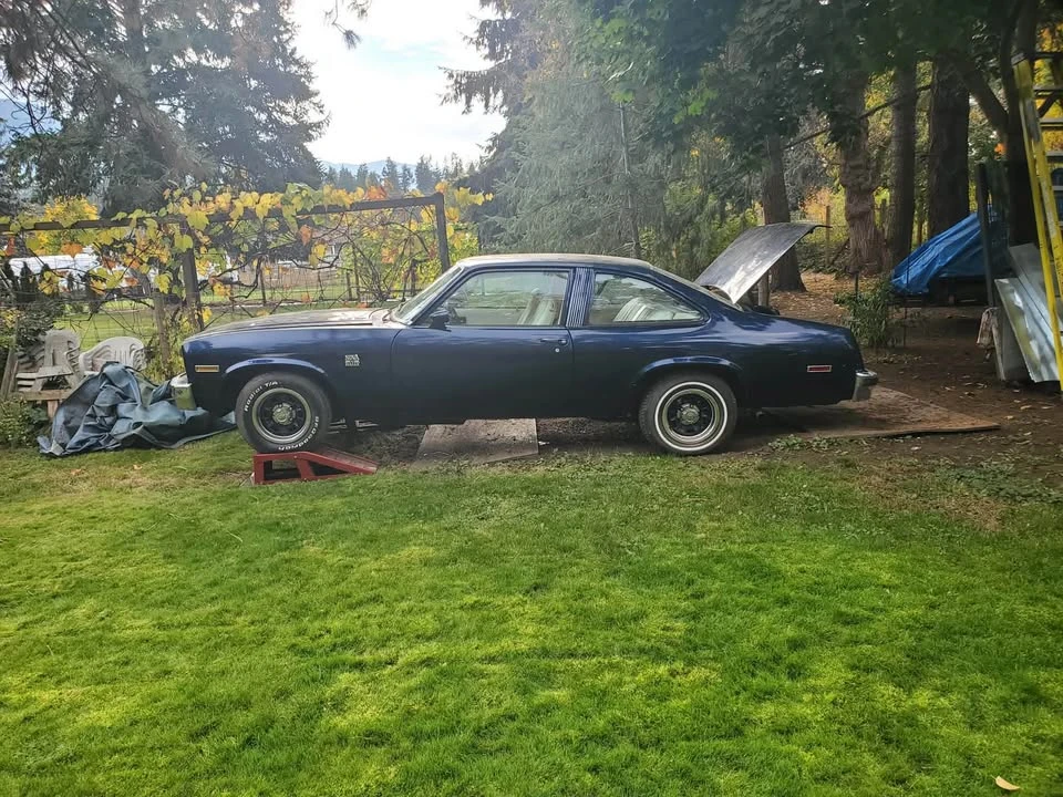 1977 Chevrolet Nova 4th Gen - Image 6 of 7