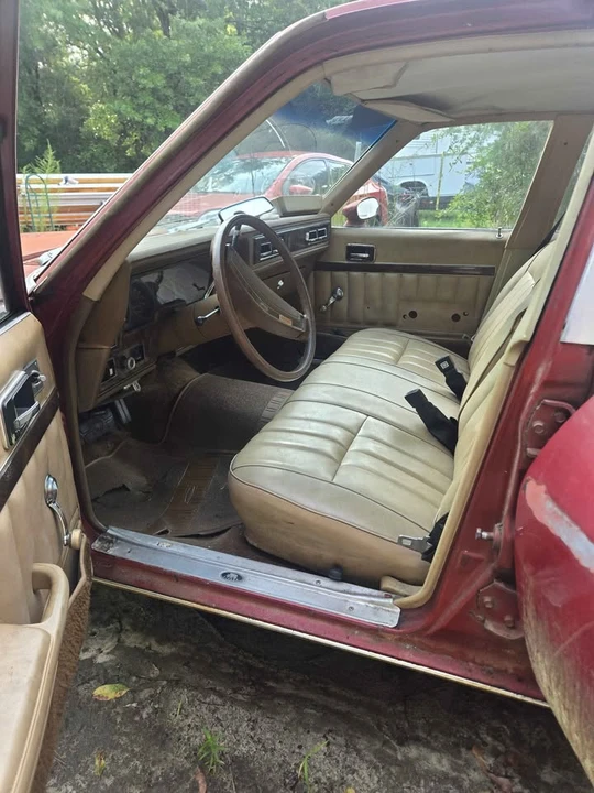 1977 Chevrolet Nova 4th Gen - Image 7 of 9