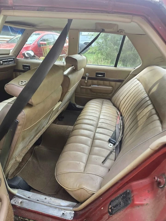 1977 Chevrolet Nova 4th Gen - Image 6 of 9