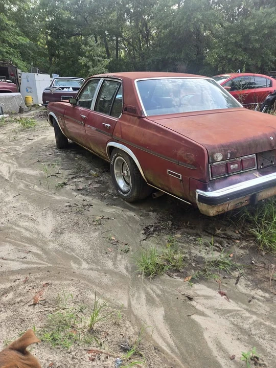 1977 Chevrolet Nova 4th Gen - Image 3 of 9