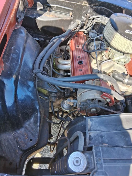 1977 Chevrolet Nova 4th Gen - Image 4 of 13