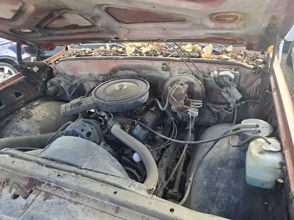 1977 Chevrolet S-10 - Image 10 of 13