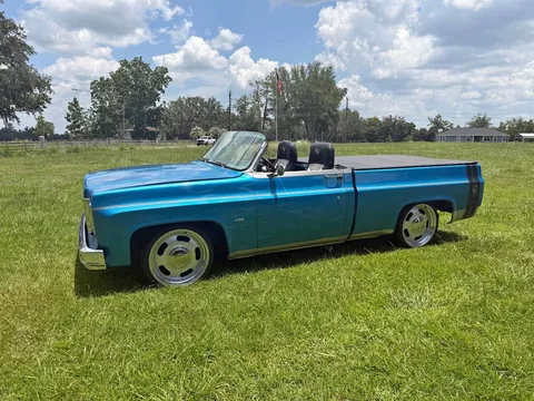1977 Chevrolet C10