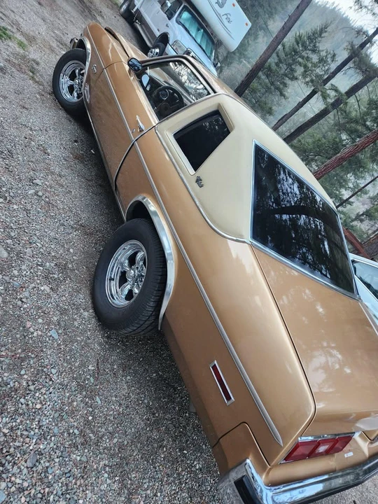 1977 Chevrolet Nova 4th Gen - Image 6 of 7