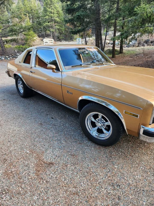 1977 Chevrolet Nova 4th Gen - Image 2 of 7