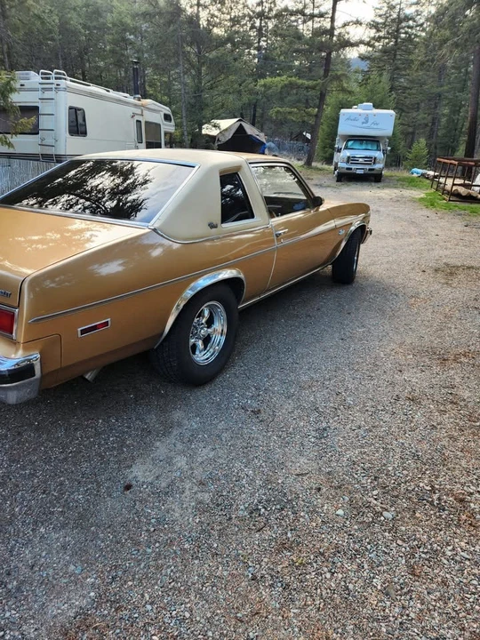 1977 Chevrolet Nova 4th Gen - Image 4 of 7