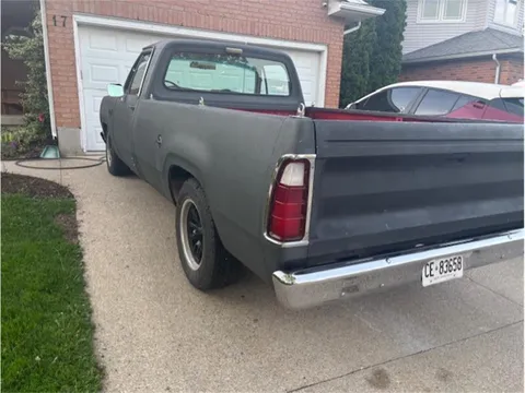 1977 Dodge 100 D100