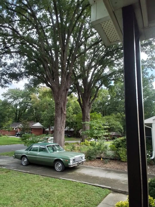 1977 Dodge Aspen - Image 2 of 2
