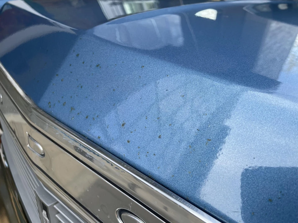 1977 Dodge Aspen - Image 26 of 31